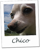 Chico